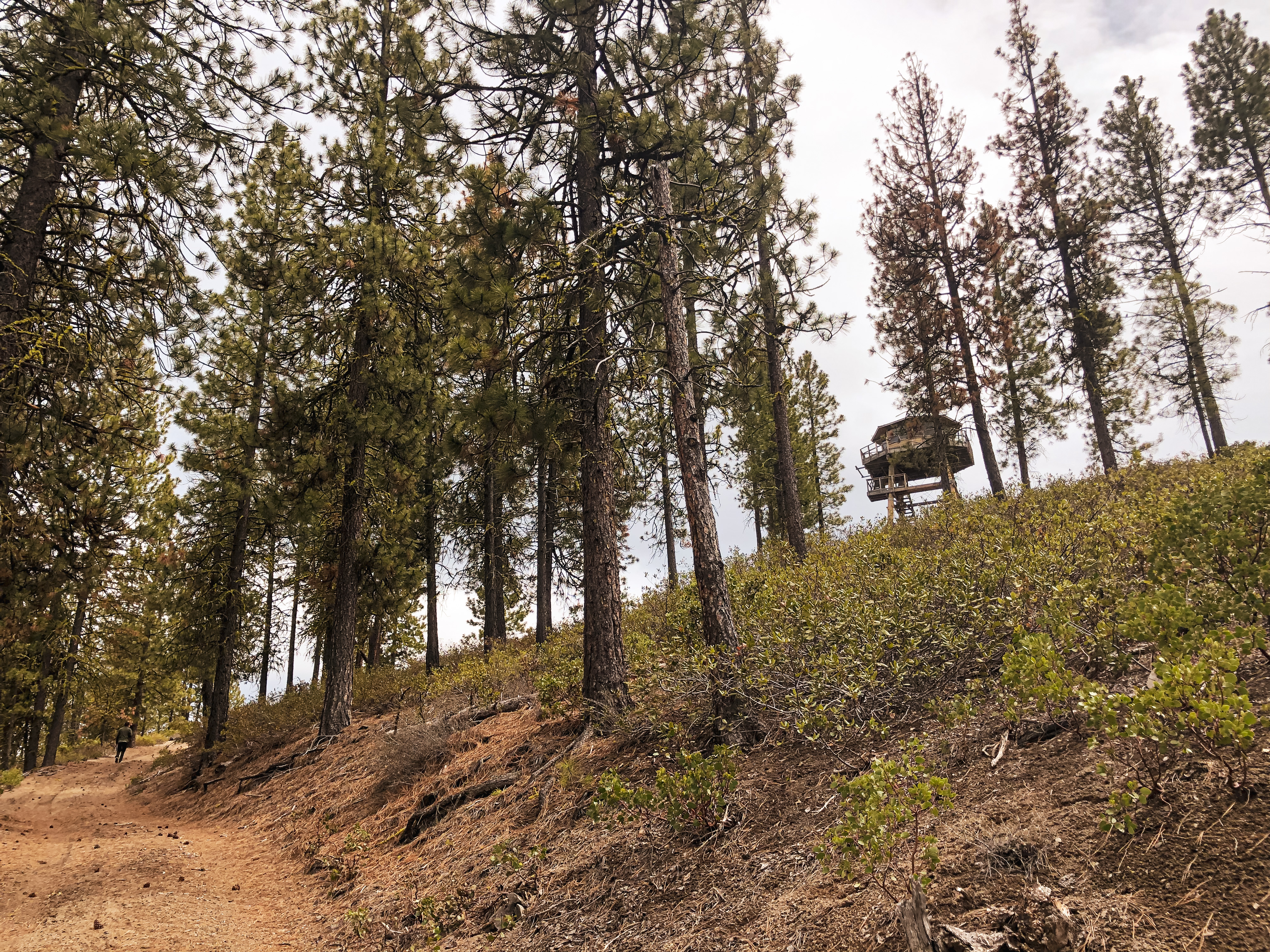 Spring Butte L.O. – The Roaming Civic